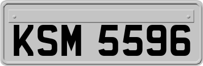 KSM5596
