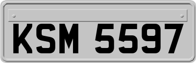 KSM5597