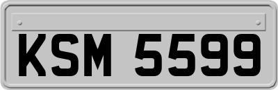 KSM5599