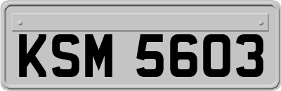 KSM5603
