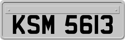 KSM5613