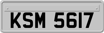 KSM5617