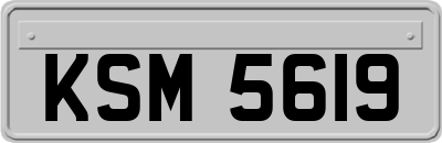 KSM5619