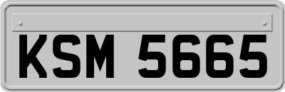 KSM5665