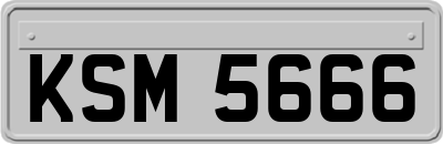 KSM5666