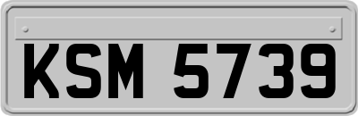KSM5739
