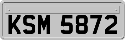 KSM5872