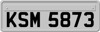 KSM5873