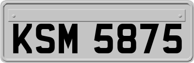 KSM5875
