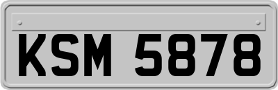 KSM5878