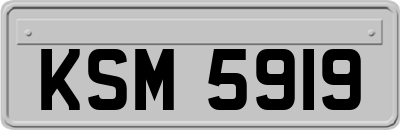 KSM5919