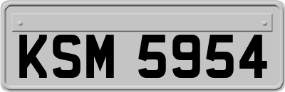 KSM5954