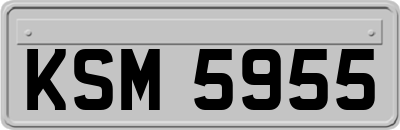 KSM5955