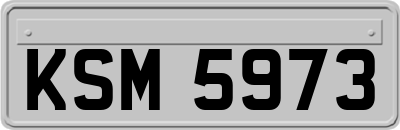 KSM5973