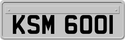 KSM6001
