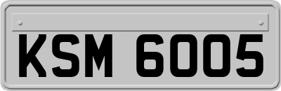 KSM6005