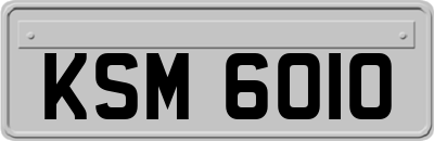 KSM6010