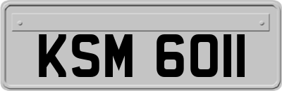 KSM6011