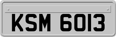 KSM6013