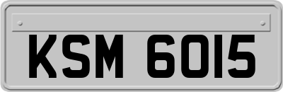 KSM6015
