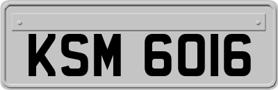 KSM6016