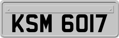 KSM6017