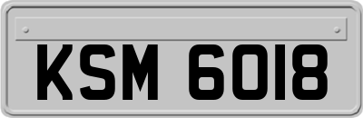 KSM6018