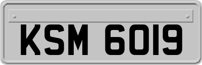 KSM6019