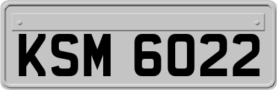 KSM6022