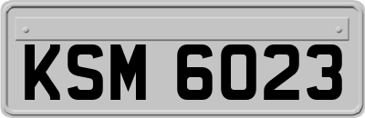 KSM6023