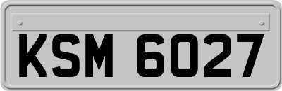KSM6027