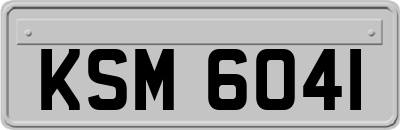 KSM6041