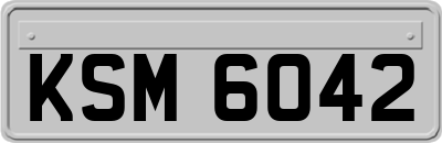 KSM6042