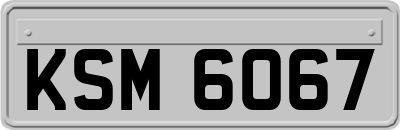 KSM6067