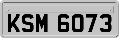 KSM6073