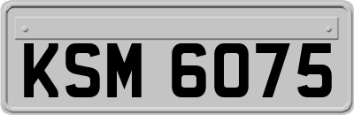 KSM6075