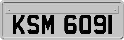 KSM6091