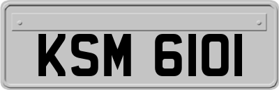 KSM6101