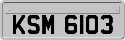 KSM6103