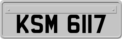 KSM6117