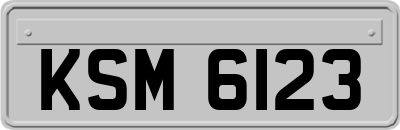 KSM6123