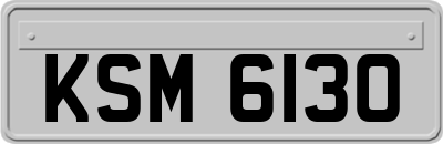 KSM6130