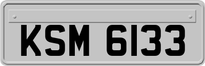 KSM6133
