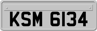 KSM6134