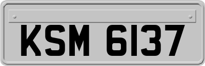 KSM6137