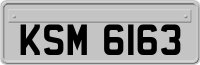 KSM6163