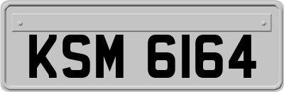 KSM6164