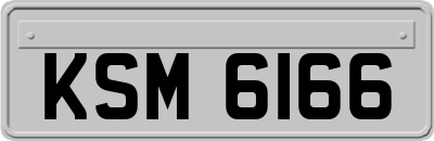 KSM6166