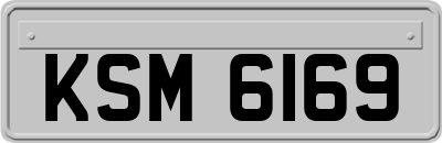 KSM6169