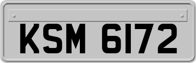 KSM6172